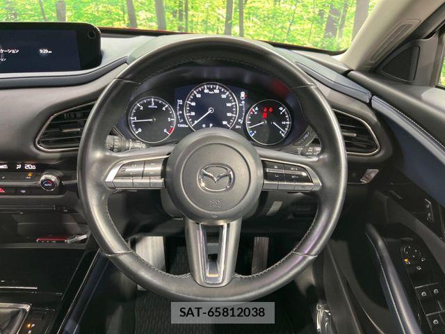 Mazda CX-30 2021-01 8741513-9