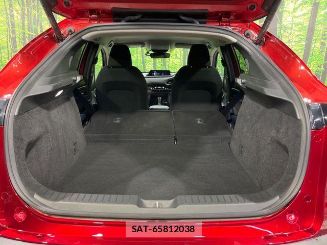 Mazda CX-30 2021-01 8741513-10