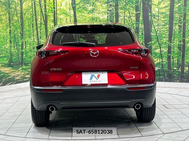 Mazda CX-30 2021-01 8741513-14