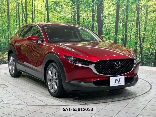 Mazda CX-30 2021-01 8741513-15