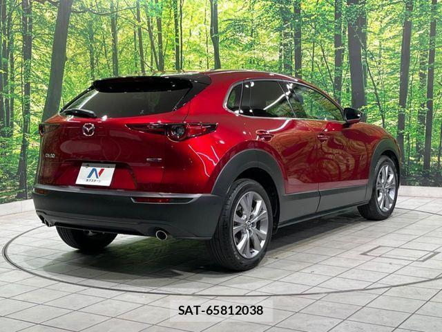 Mazda CX-30 2021-01 8741513-16