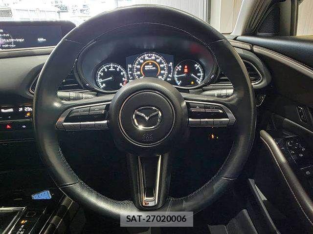 Mazda CX-30 2020-08 8741511-12