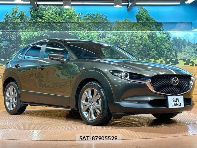Mazda CX-30 2021-10 8828505-15