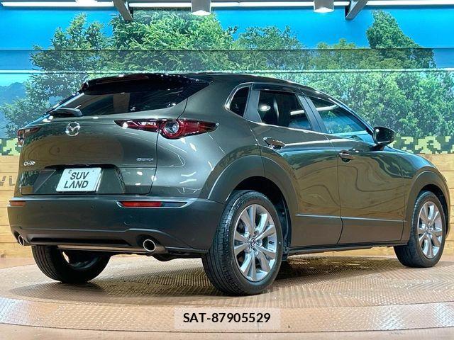 Mazda CX-30 2021-10 8828505-16