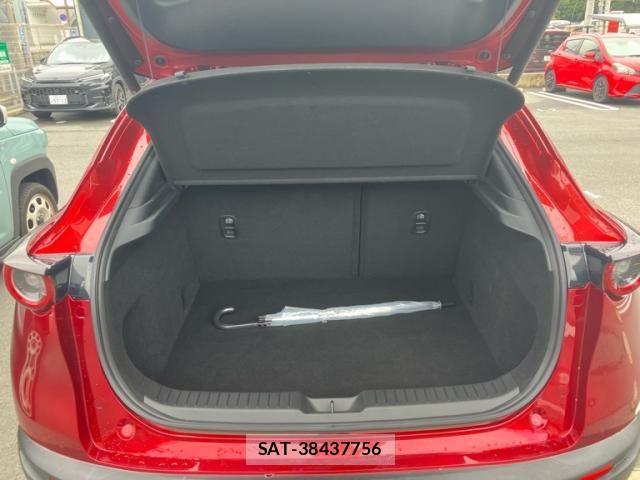 Mazda CX-30 2021-10 8828508-24