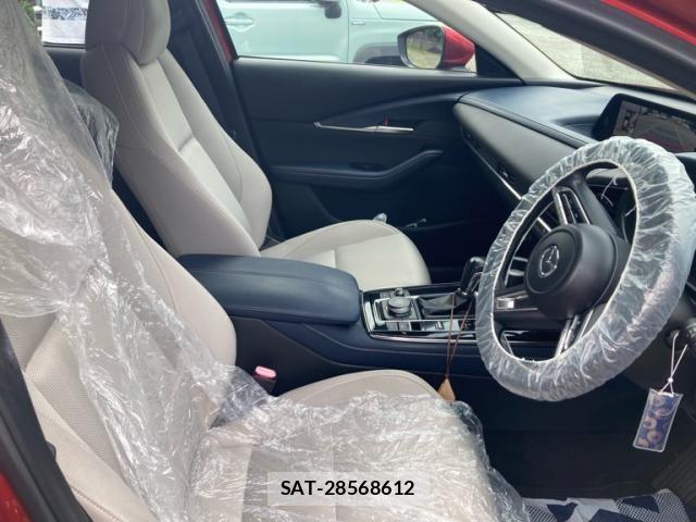 Mazda CX-30 2019-10 8828509-13