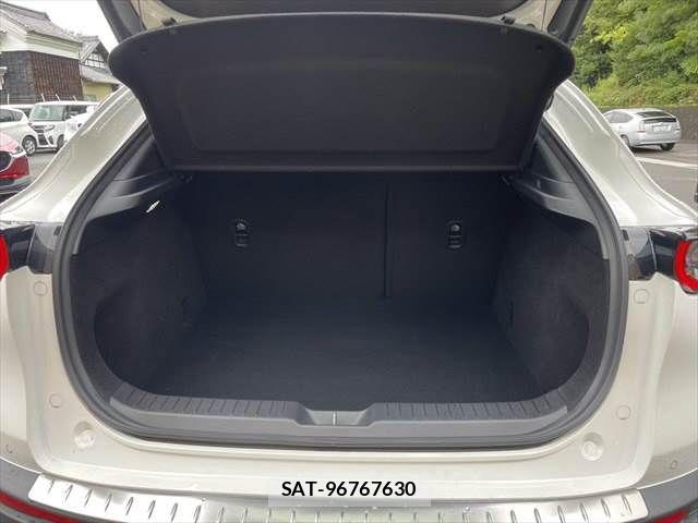 Mazda CX-30 2020-01 8828502-9