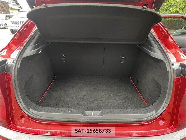 Mazda CX-30 2020-01 8828504-9