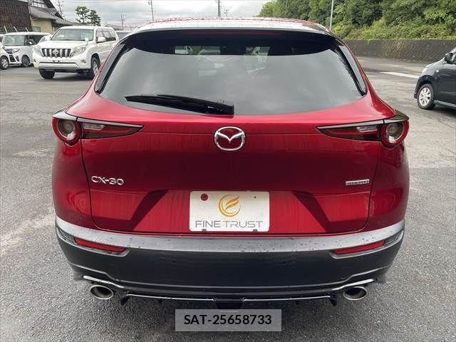 Mazda CX-30 2020-01 8828504-18