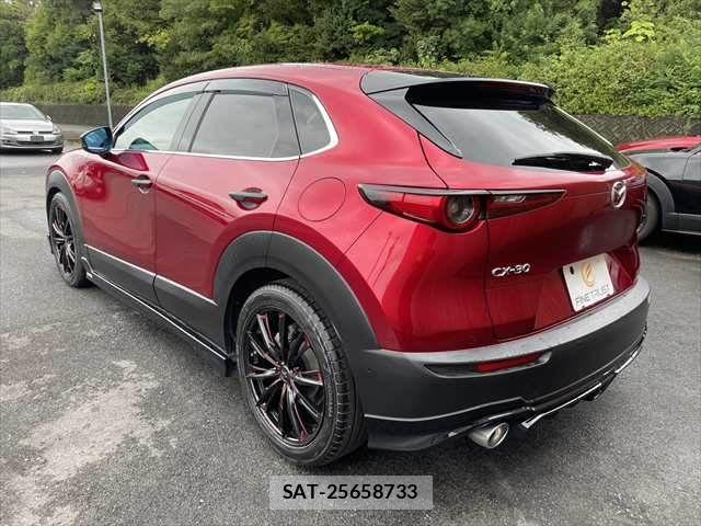 Mazda CX-30 2020-01 8828504-19