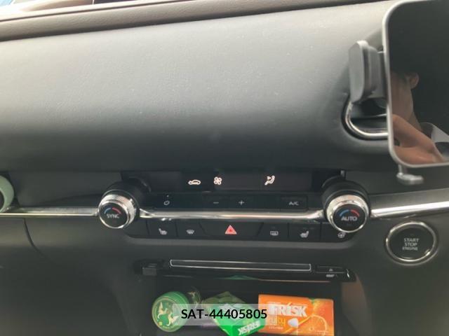 Mazda CX-30 2020-03 8828506-22
