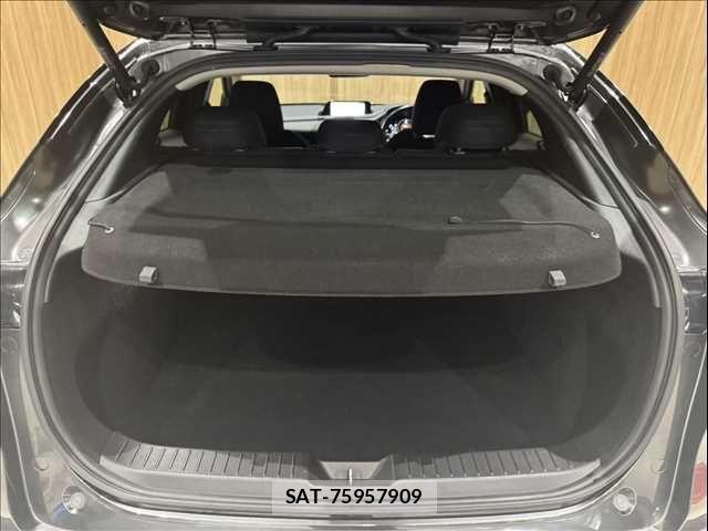Mazda CX-30 2020-03 8848620-11