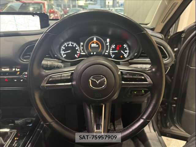 Mazda CX-30 2020-03 8848620-12