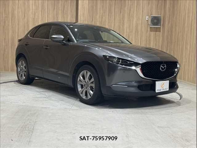 Mazda CX-30 2020-03 8848620-17