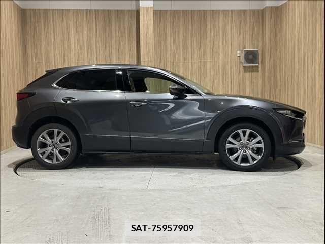 Mazda CX-30 2020-03 8848620-18