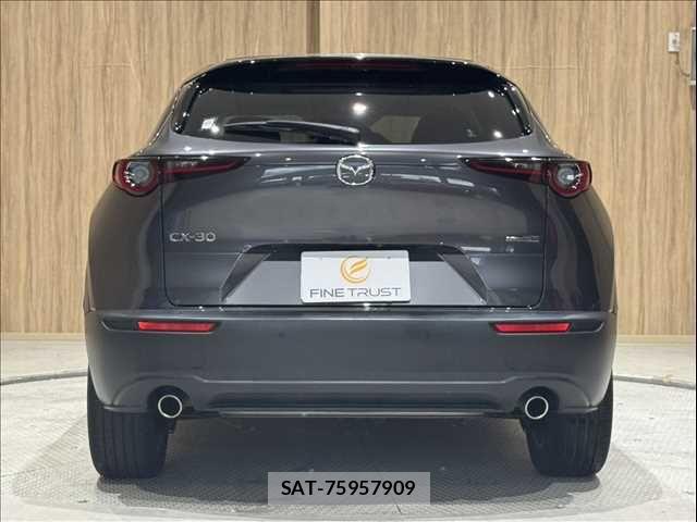 Mazda CX-30 2020-03 8848620-19
