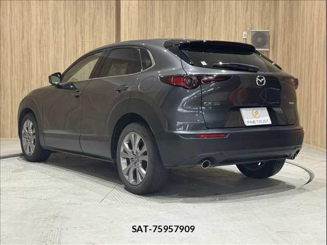 Mazda CX-30 2020-03 8848620-21
