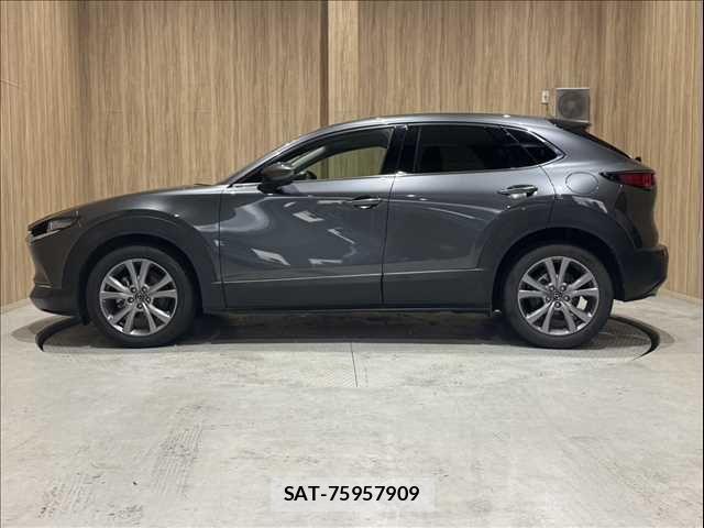 Mazda CX-30 2020-03 8848620-22