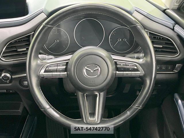 Mazda CX-30 2021-08 8848617-10