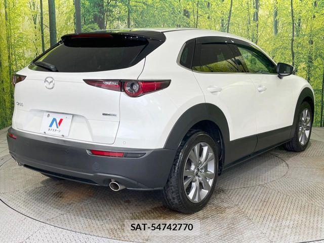 Mazda CX-30 2021-08 8848617-16