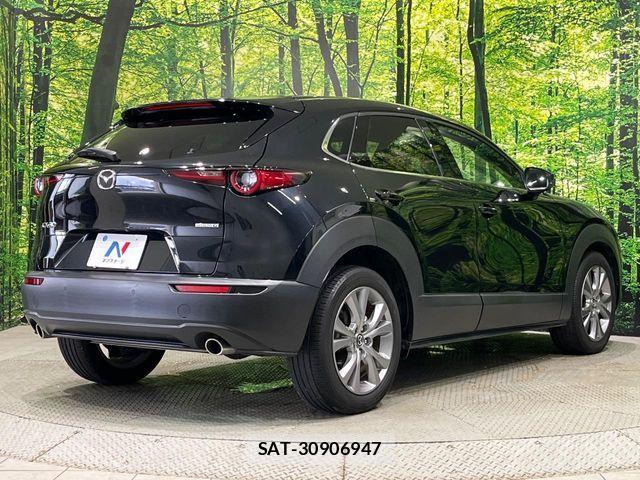 Mazda CX-30 2021-08 8879330-17