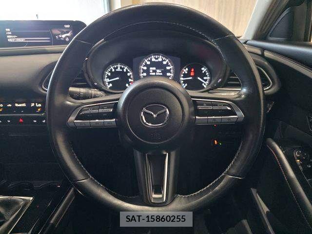 Mazda CX-30 2022-08 8883485-12