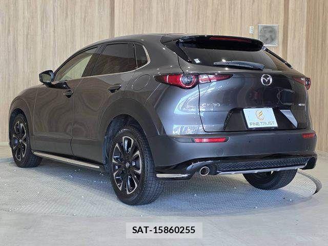 Mazda CX-30 2022-08 8883485-20