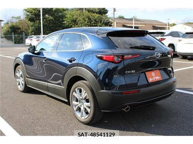 Mazda CX-30 2024-08 8883483-13