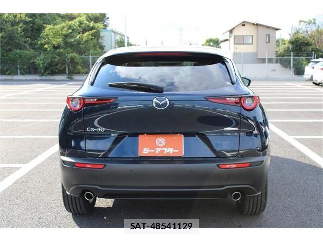 Mazda CX-30 2024-08 8883483-14