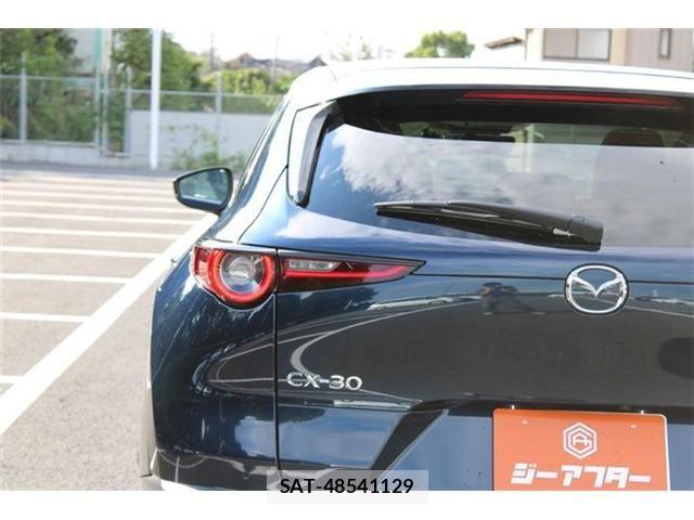 Mazda CX-30 2024-08 8883483-15