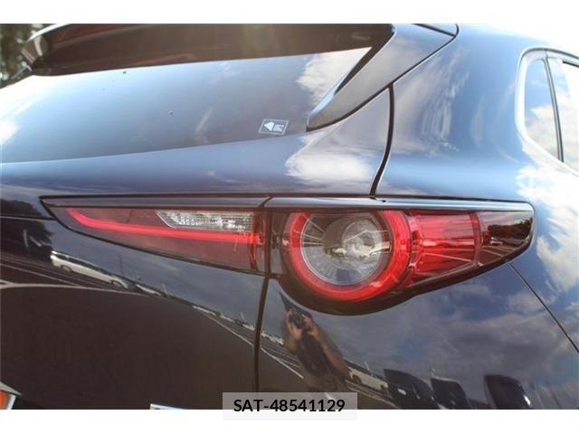 Mazda CX-30 2024-08 8883483-18