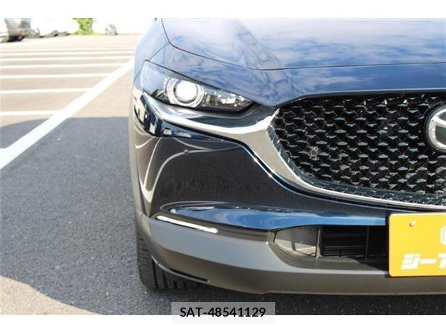 Mazda CX-30 2024-08 8883483-8