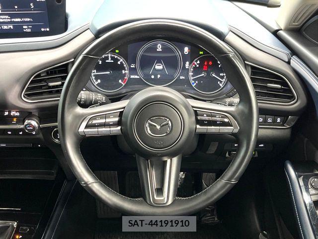 Mazda CX-30 2023-08 8883484-10