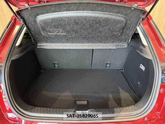 Mazda CX-3 2016-01 7250355-10