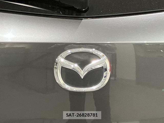 Mazda CX-3 2017-05 7978926-24
