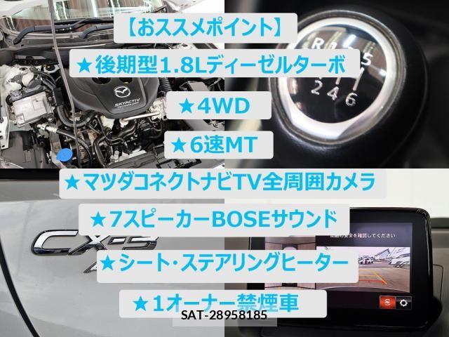Mazda CX-3 2019-03 8848615-1