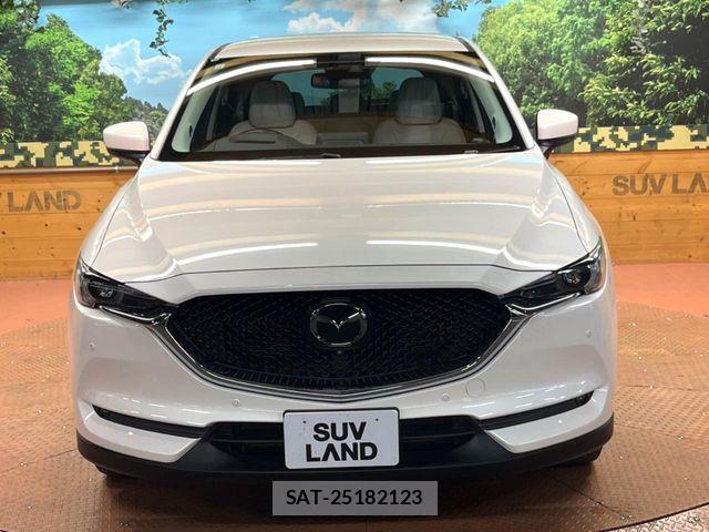 Mazda CX-5 2019-10 8438050-13