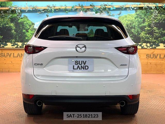 Mazda CX-5 2019-10 8438050-14