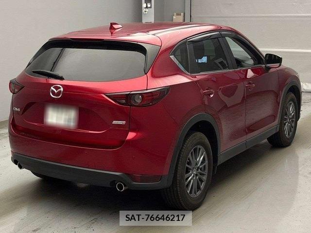 Mazda  2019-02 8711594-1