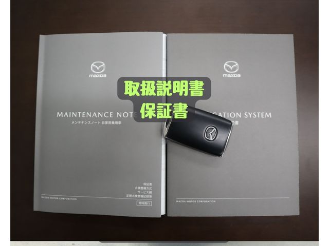 Mazda CX-60 2022-10 461099-26