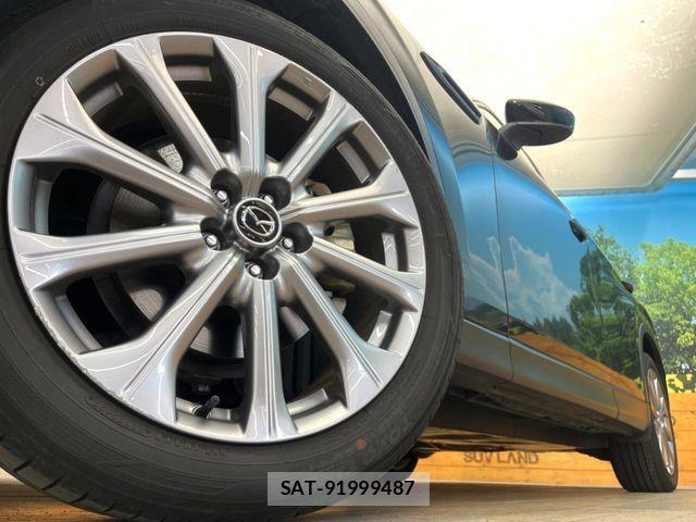 Mazda CX-60 2023-08 6263771-12