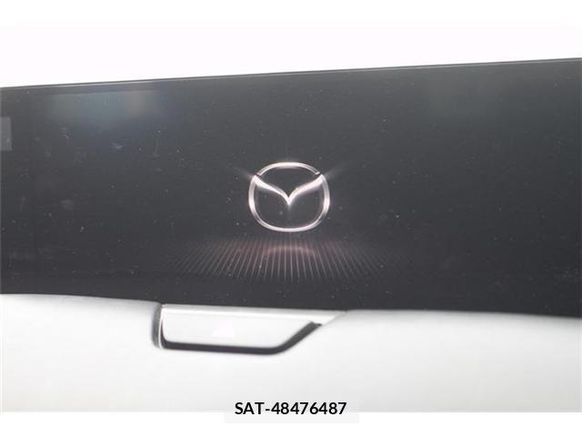 Mazda CX-60 2023-02 6641443-22