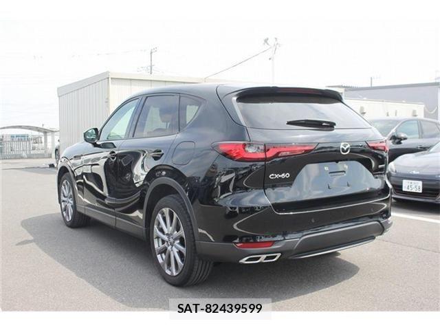 Mazda CX-60 2024-03 6682628-25