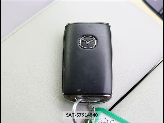 Mazda CX-60 2023-01 7357442-13