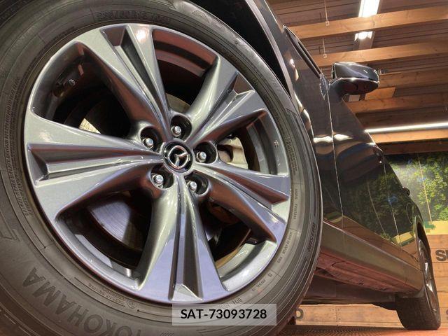 Mazda CX-60 2023-06 7357450-12