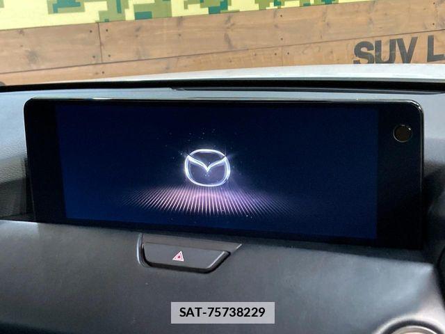 Mazda CX-60 2023-01 7784094-3