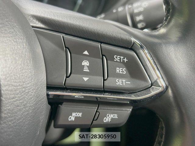 Mazda CX-8 2019-07 4175123-4