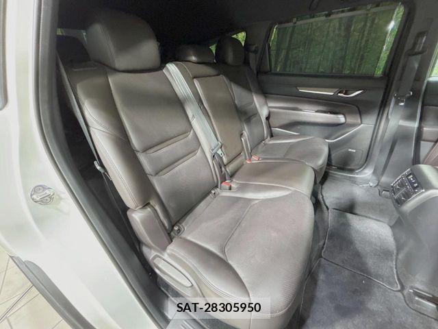 Mazda CX-8 2019-07 4175123-8