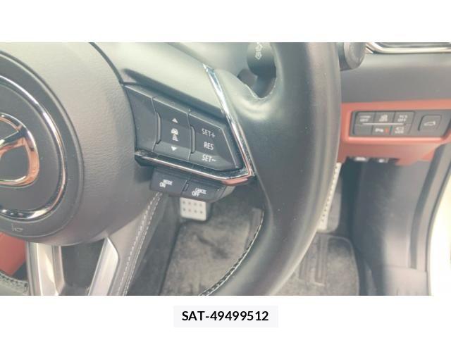 Mazda CX-8 2022-07 6243296-13