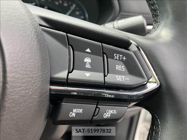 Mazda CX-8 2019-06 6671066-3
